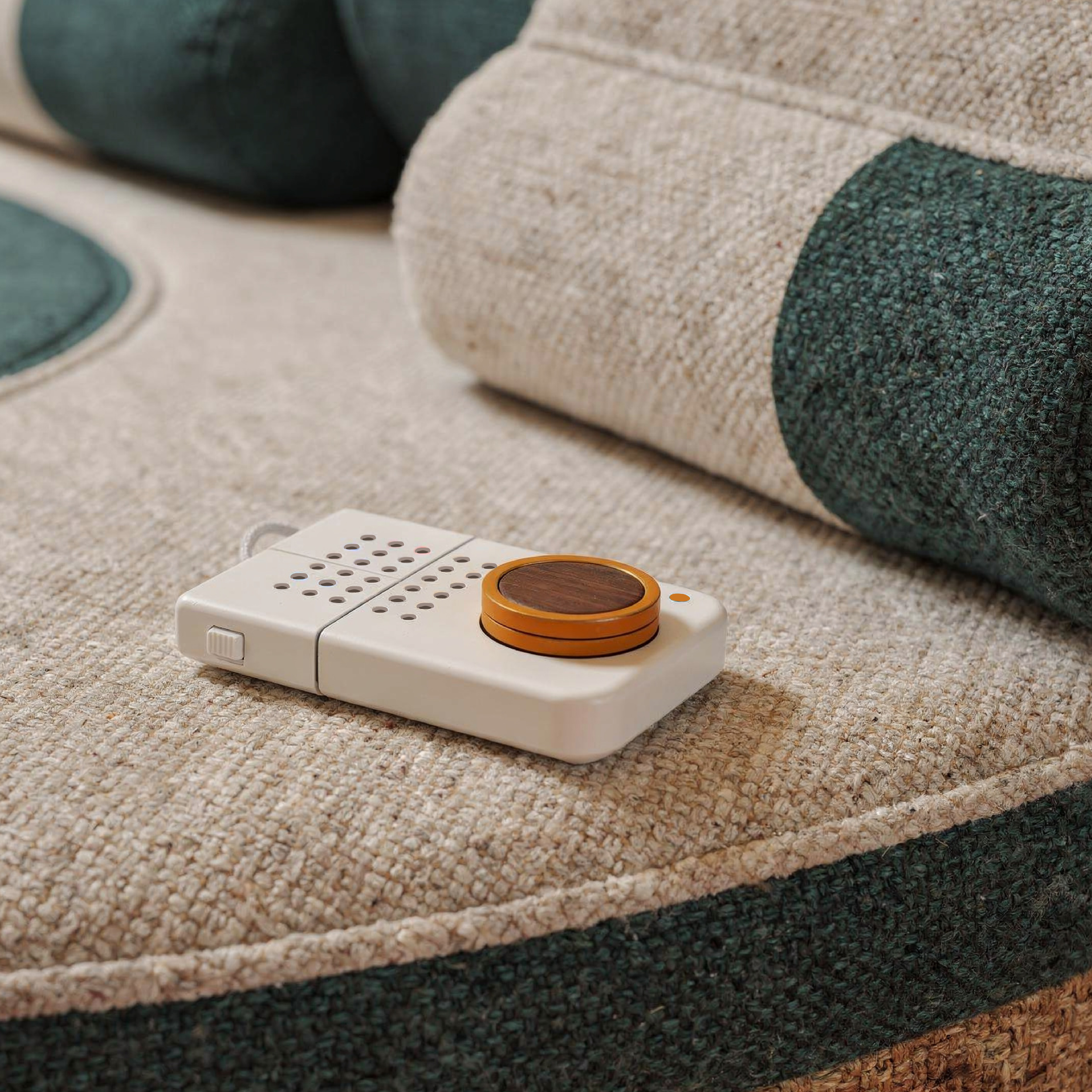 Holm companion styled in a lifestyle setting